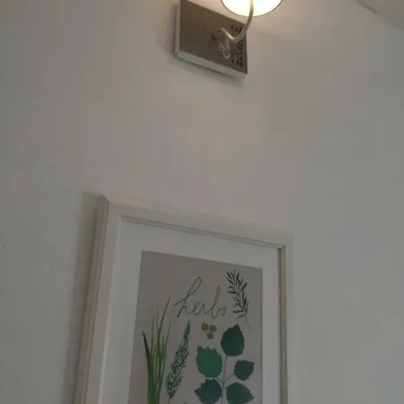 Pro Touristic Montejunto * Arieiro (Estremadura)