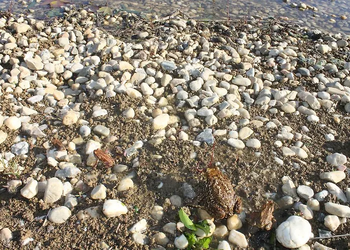 Montejunto Villa Arieiro (Estremadura)