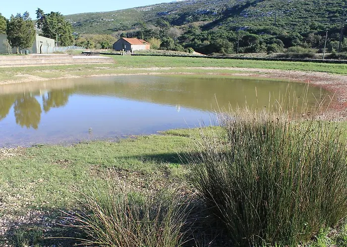 Montejunto Arieiro (Estremadura)