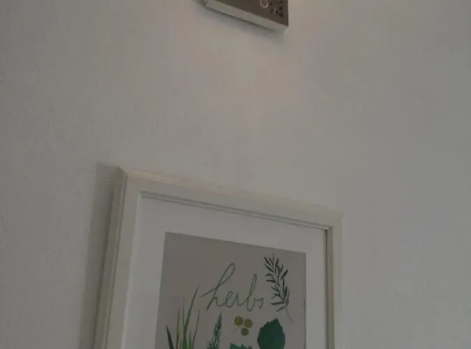 Montejunto * Arieiro (Estremadura)